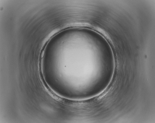 X0000072991237200608041300