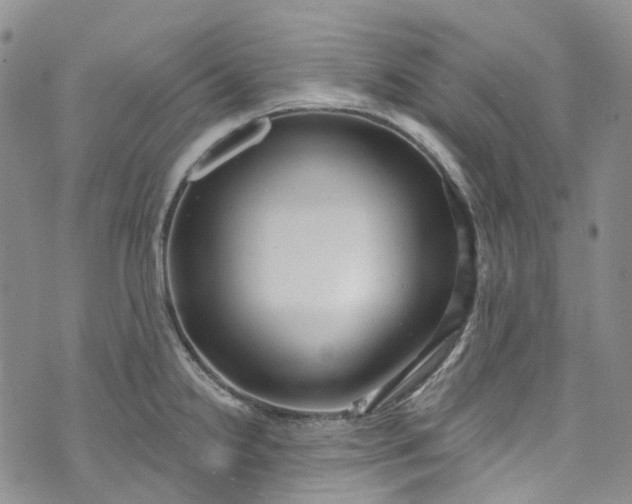 X0000072991238200608041300