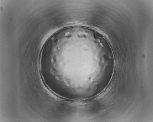 X0000072991239200608041300