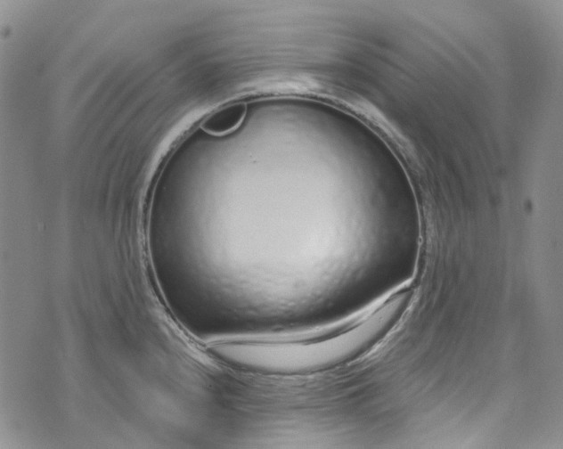 X0000072991240200608041300