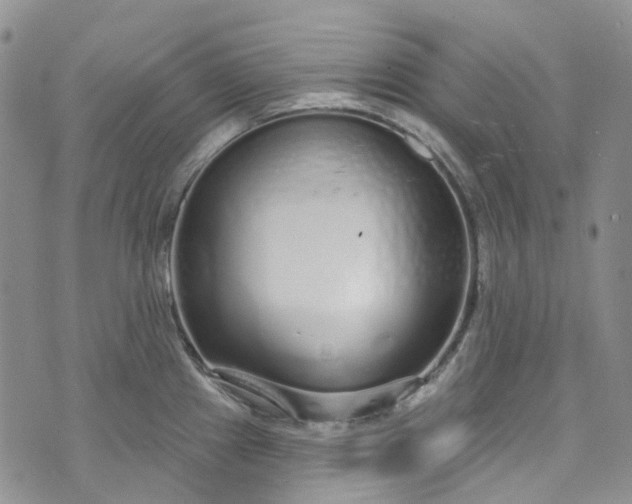 X0000072991241200608041300