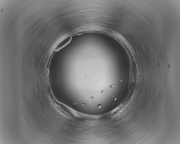 X0000072991242200608041300