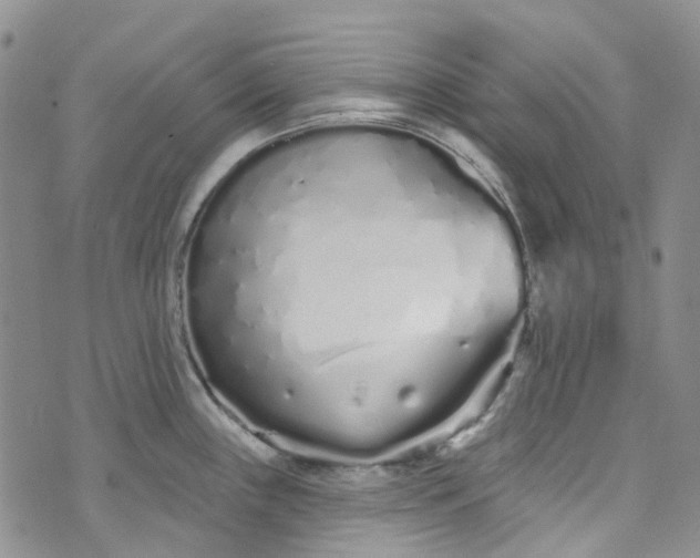 X0000072991243200608041300