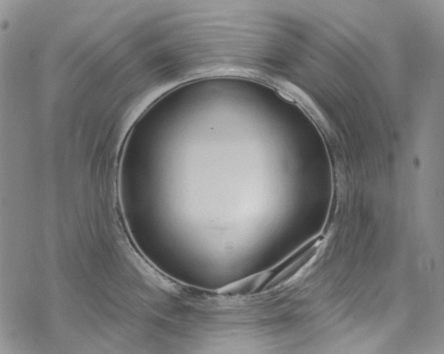 X0000072991244200608041300