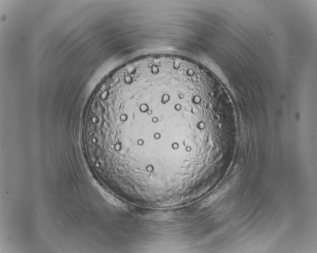 X0000072991245200608041300