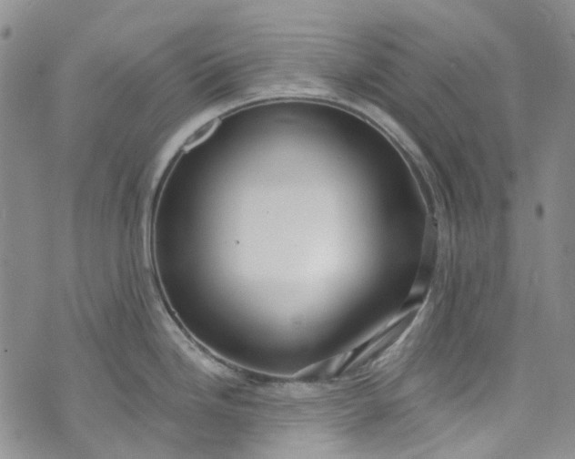 X0000072991246200608041300