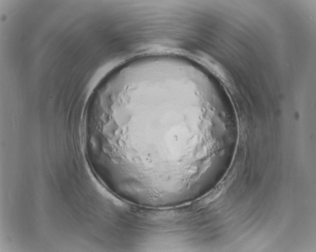 X0000072991247200608041300