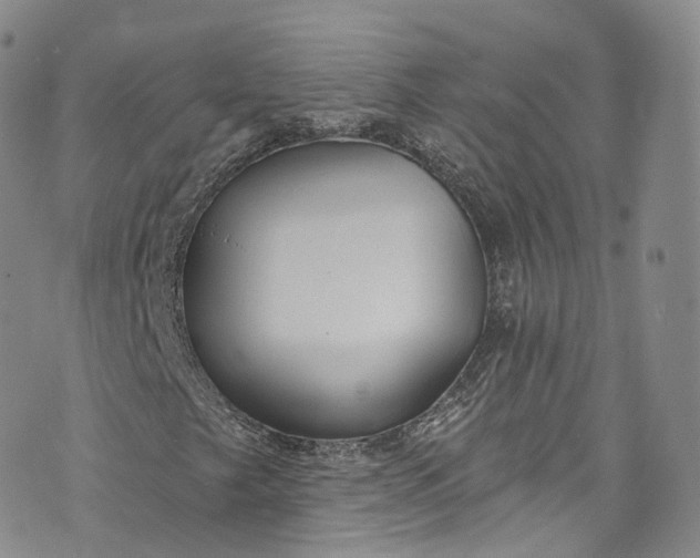 X0000072991249200608041259