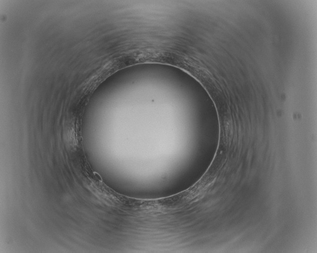 X0000072991250200608041259