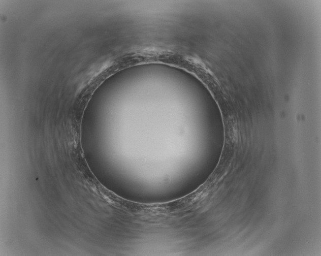 X0000072991253200608041259