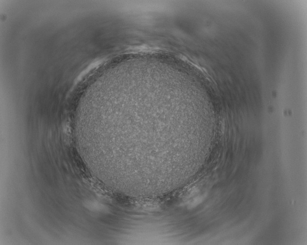 X0000072991254200608041259