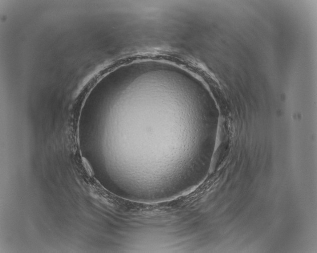 X0000072991256200608041259