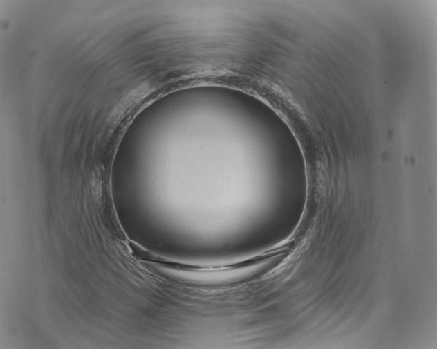 X0000072991257200608041259