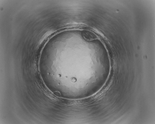 X0000072991259200608041259