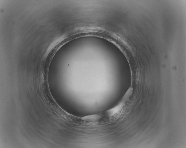 X0000072991261200608041259