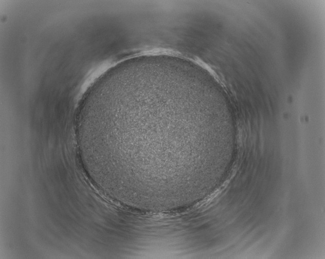 X0000072991263200608041259