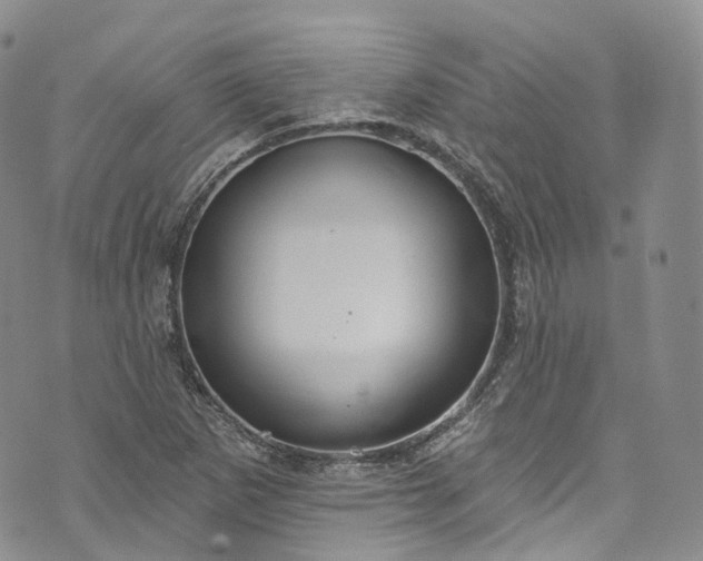 X0000072991265200608041259