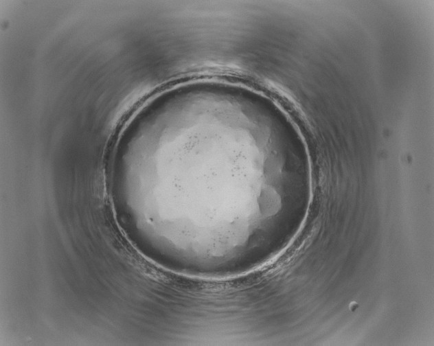 X0000072991267200608041259