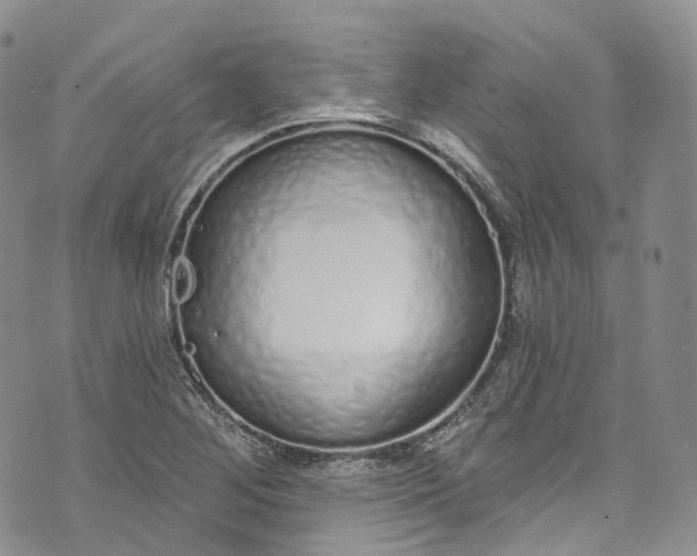 X0000072991268200608041259