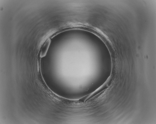 X0000072991269200608041259