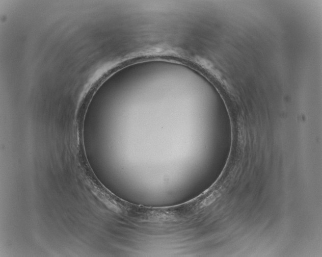 X0000072991270200608041259