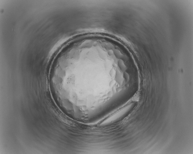 X0000072991271200608041259