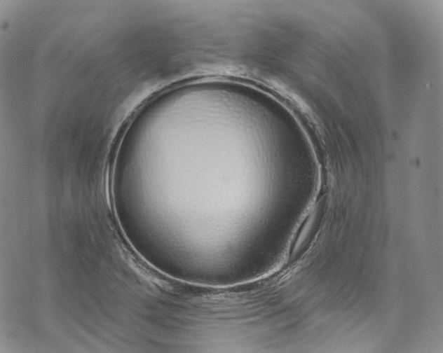 X0000072991272200608041259