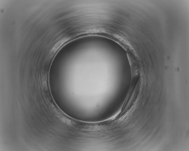 X0000072991273200608041259