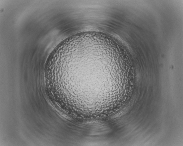 X0000072991274200608041259