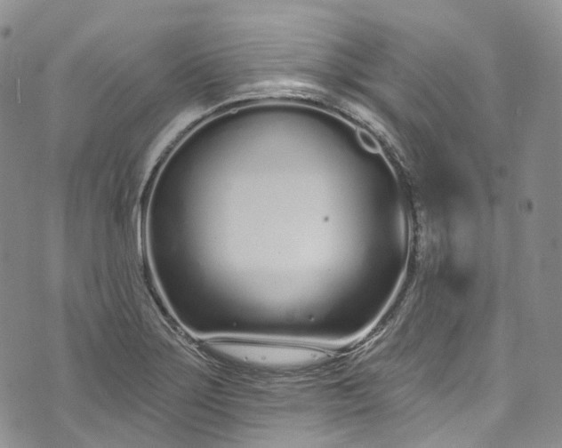 X0000072991275200608041259