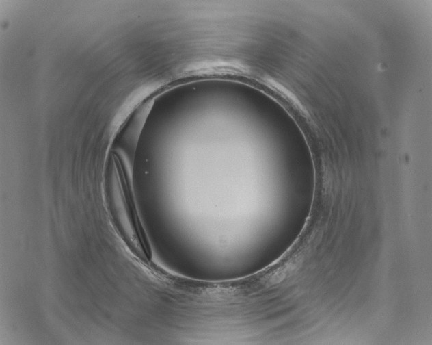 X0000072991277200608041259