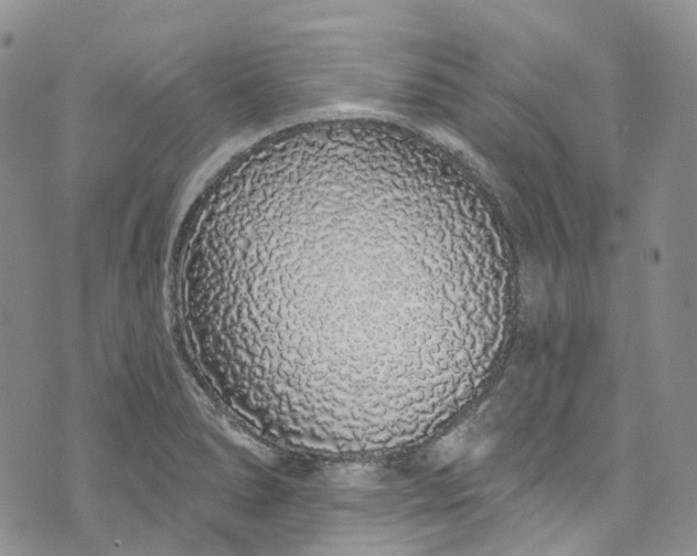 X0000072991278200608041259