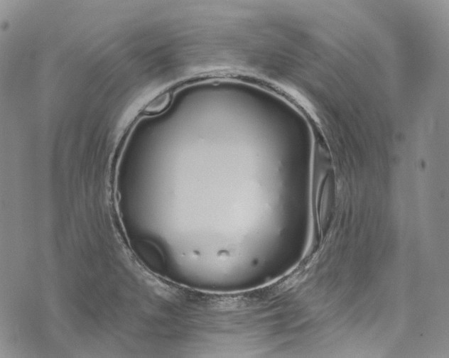 X0000072991279200608041259