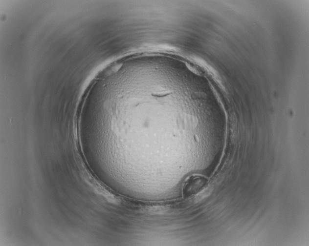 X0000072991280200608041259