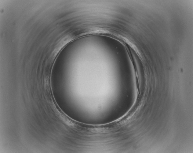 X0000072991281200608041259