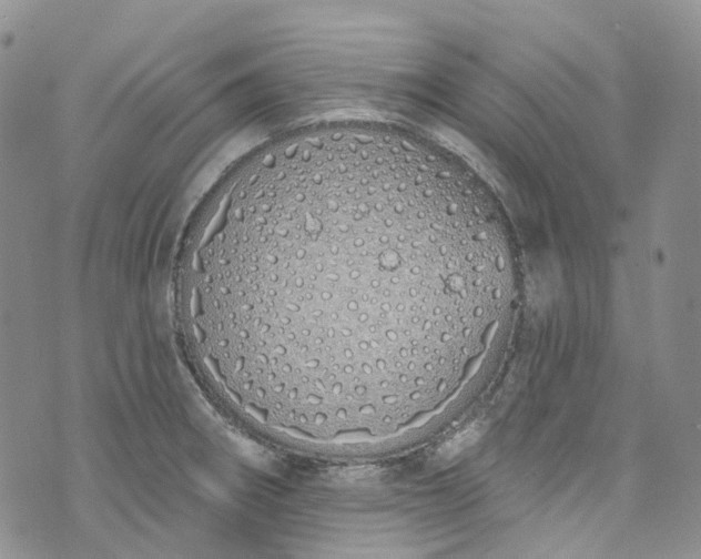 X0000072991282200608041259