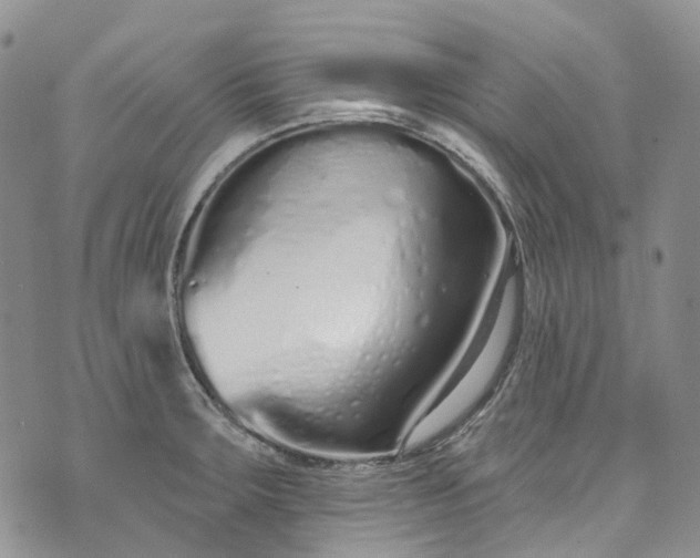 X0000072991283200608041259