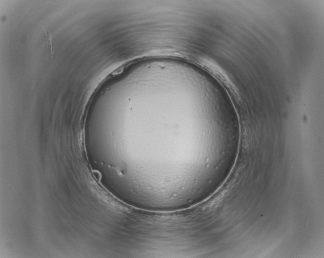 X0000072991284200608041259