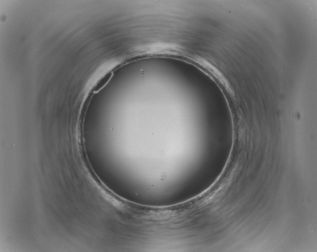 X0000072991285200608041259