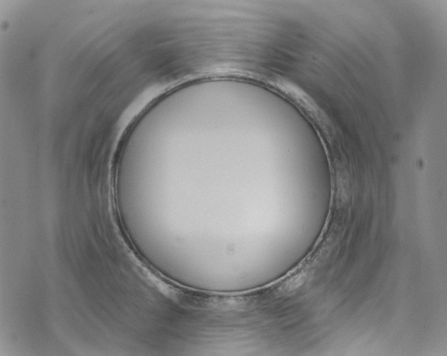 X0000072991286200608041259