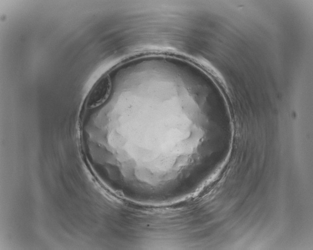 X0000072991287200608041259