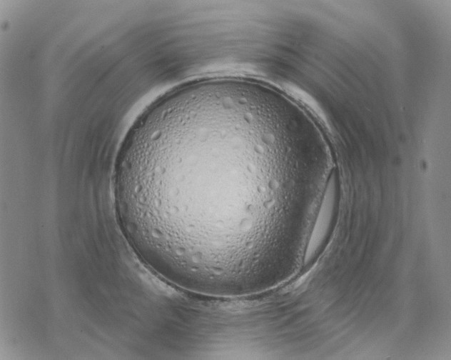 X0000072991288200608041259