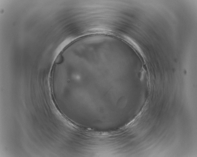 X0000072991291200608041259