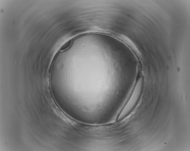 X0000072991292200608041259