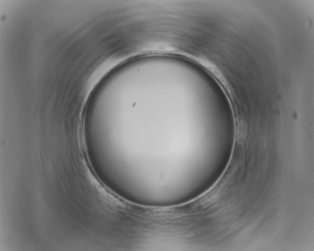 X0000072991295200608041259