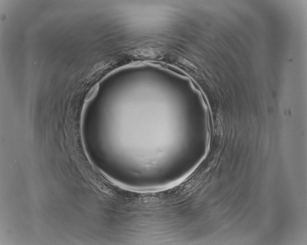 X0000072991297200608041258