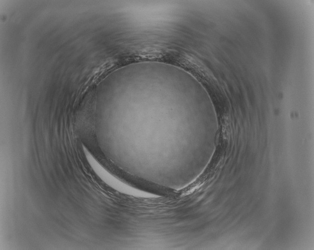 X0000072991298200608041258