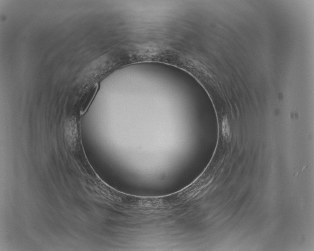 X0000072991299200608041258