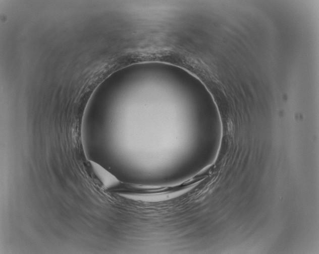 X0000072991300200608041258