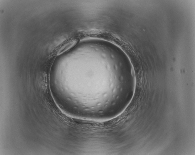 X0000072991301200608041258